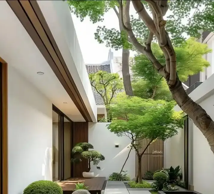 铅笔柏是什么科植物-常见问题(铅笔柏属于哪个科？常见疑问解答)