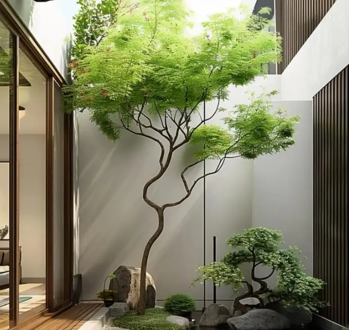 铁树开花寓意着什么意思(铁树开花象征着什么？)