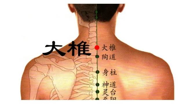 大众日报:新澳门资料大全正版资料2024年免费新澳盗次料-养肝就是养命！专家揭秘10大肝脏保健秘诀