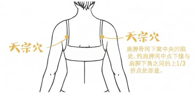 津云:新澳门免费资料大全2024年-保健品成养宠最大开销，一季度进口宠物保健品销量同比翻倍增长