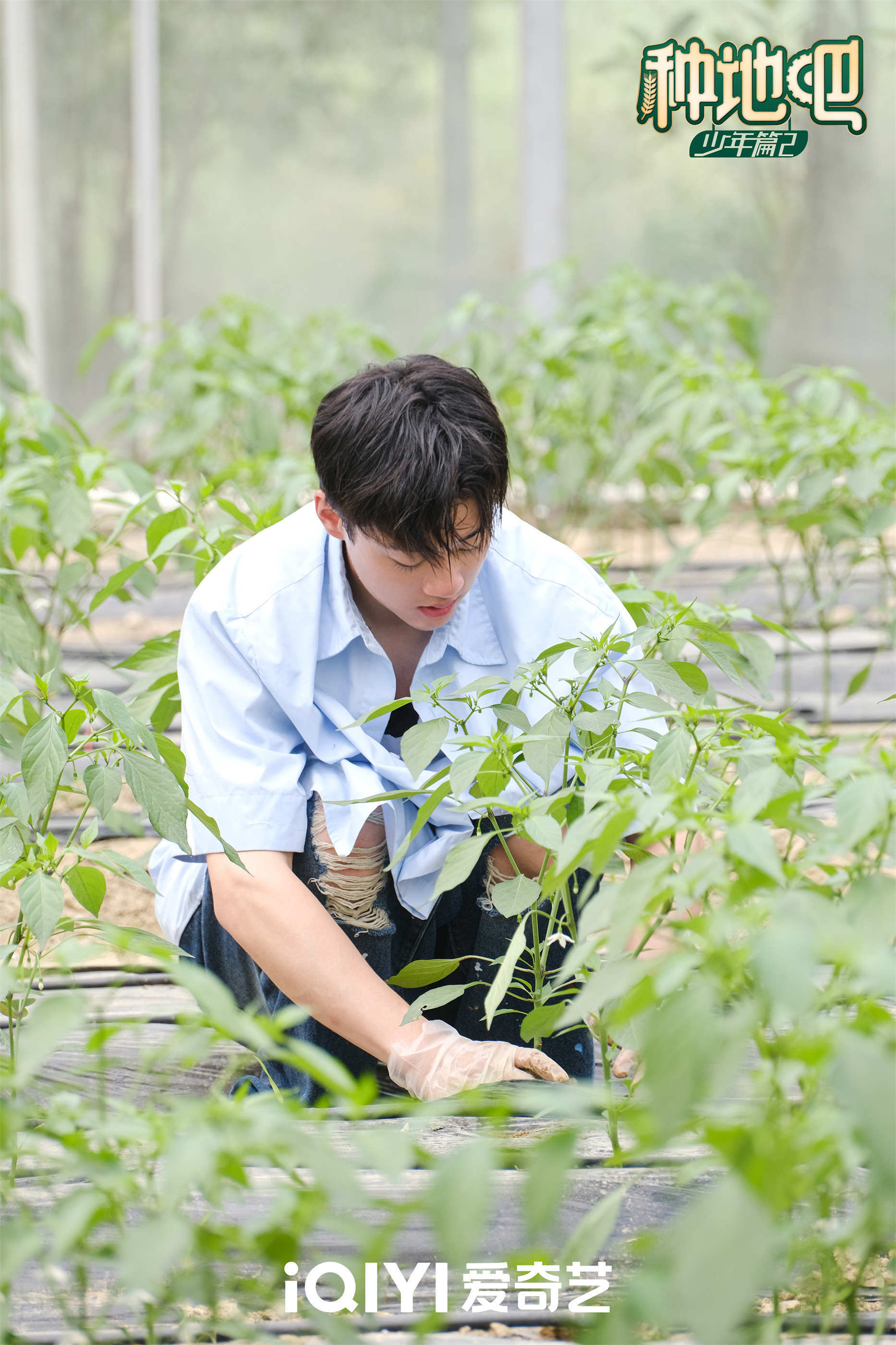 安徽日报:澳门天天好彩-农副产品企业转身成为生物医药公司，一家中小企业提档升级的41年｜探“先”山东  第2张