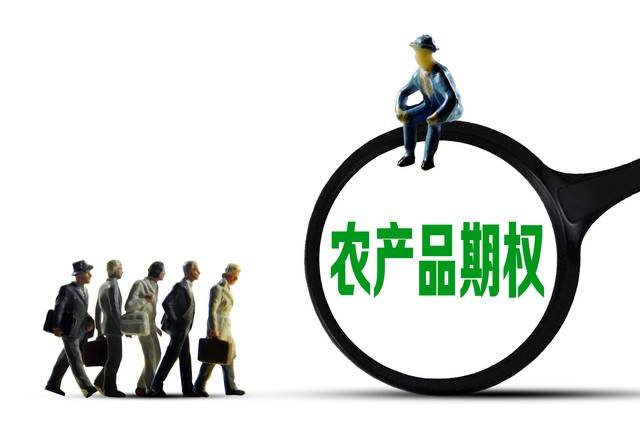 黄山日报:2024澳门资料免费大全-动动省科技集团赴浦北县考察：共谋优质农副产品发展新篇章