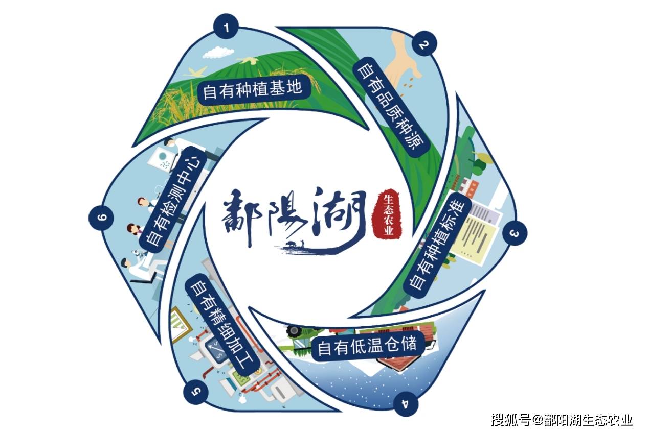 瞭望:澳门资料大全正版资料341期-关于/2024年苗木、农副产品种植基地建设项目施工(一标段）招标公告  第1张