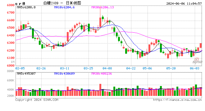 光大期货软商品类日报6.6