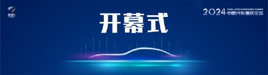 王侠：汽车产业下半场并非收官战，只会打价格战没有未来  第1张