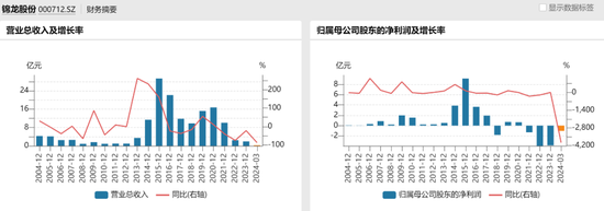 “券商影子股”决定“息影”，锦龙股份放弃两块牌照