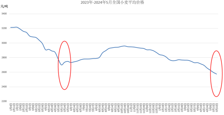 小麦价阶段性底部或形成，后市反弹空间有多大？  第3张