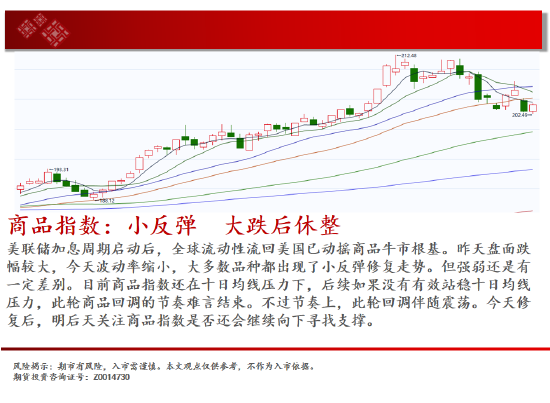 中天期货:商品指数小反弹大跌后休整 橡胶多头格局不变  第2张