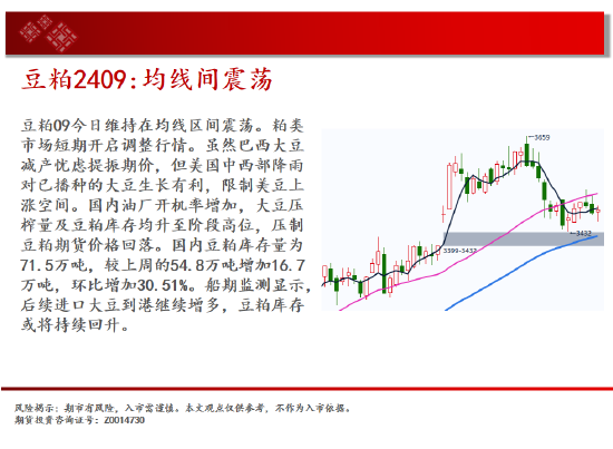 中天期货:商品指数小反弹大跌后休整 橡胶多头格局不变  第12张