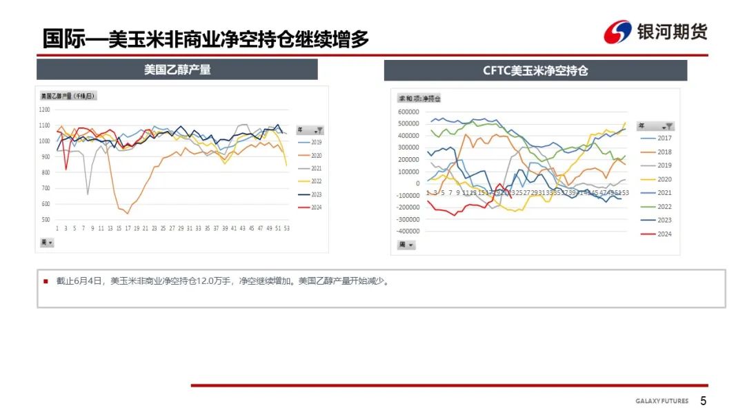 【玉米和淀粉周报】华北玉米继续上涨 盘面偏强震荡