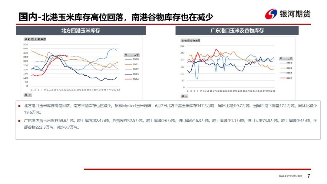 【玉米和淀粉周报】华北玉米继续上涨 盘面偏强震荡