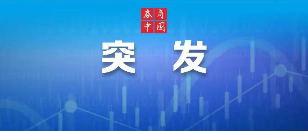 A股全线飙升 分析人士认为：市场大反攻可能与“国家队”出手有关  第1张