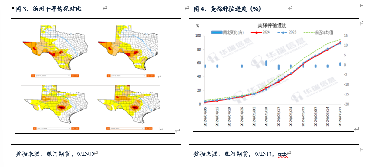 【棉花、棉纱半年报】水涨船欲高 棉花或可期  第6张