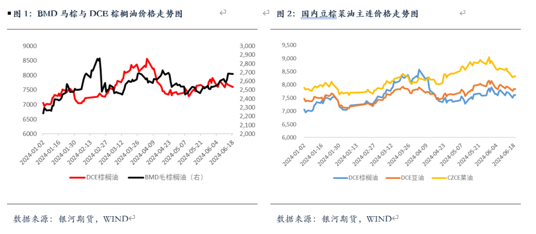 【油脂半年报】矛盾暂无的油脂，未来何去何从？