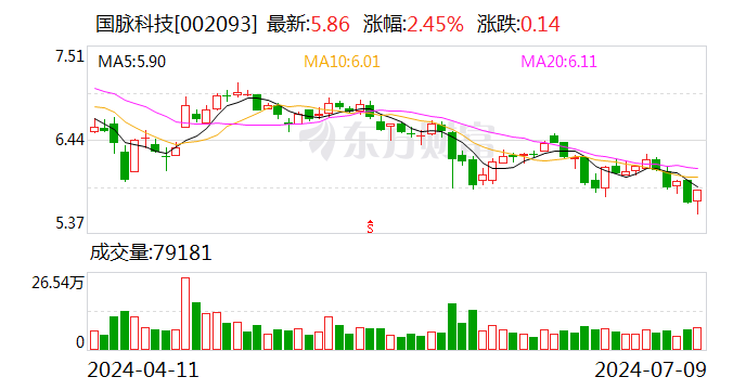 国脉科技：预计2024年上半年净利润为7500万元~9000万元 同比增长36.02%~63.23%  第1张
