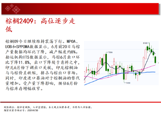 中天期货:玉米区间回落 棕榈高位逐步走低  第13张