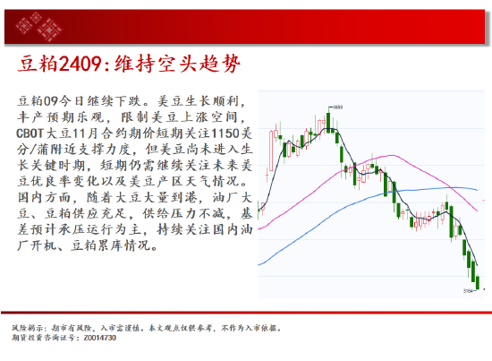 中天期货:原油关键位争夺 玉米区间回落  第12张