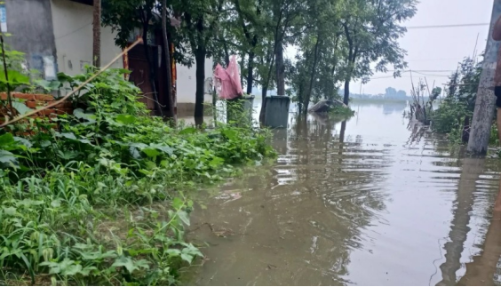 南阳暴雨以致当地猪场受灾！牧原回应：公司经营未受影响！官方发布汛期猪场应急管理七条措施