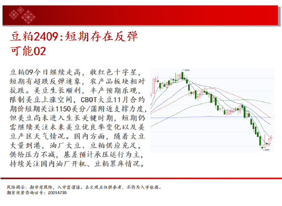 白银区间回落 短期存在反弹可能  第12张