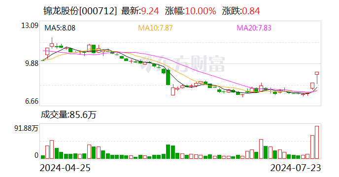 锦龙股份逆市摘2连板！旗下中山证券扭亏为盈 仅6月就狂赚1.4亿元  第1张