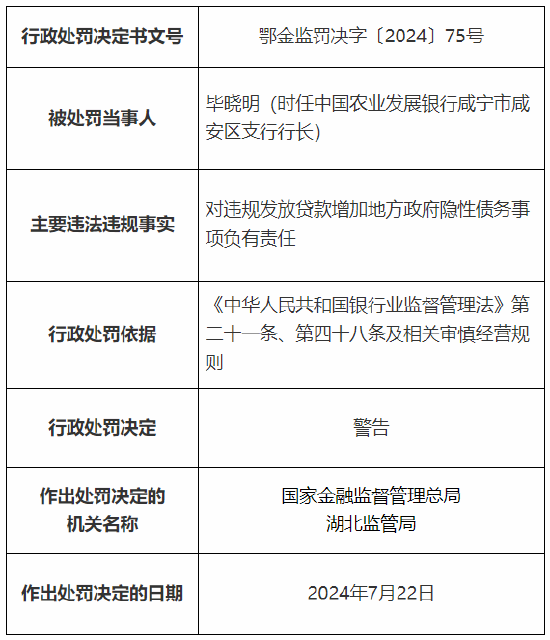 农发行咸宁市分行及荆门市分行总计被罚80万元：因违规发放贷款增加地方政府隐性债务