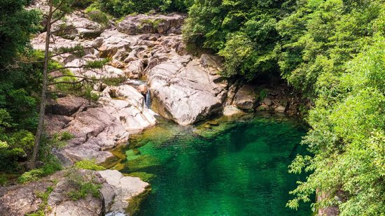 农夫山泉黄山工厂正式投产，预计将为当地每年创税约1.5亿，并提供约500个就业岗位  第1张