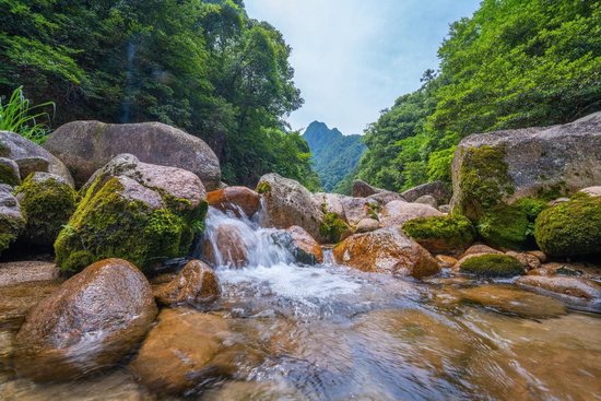 农夫山泉黄山工厂正式投产，预计将为当地每年创税约1.5亿，并提供约500个就业岗位