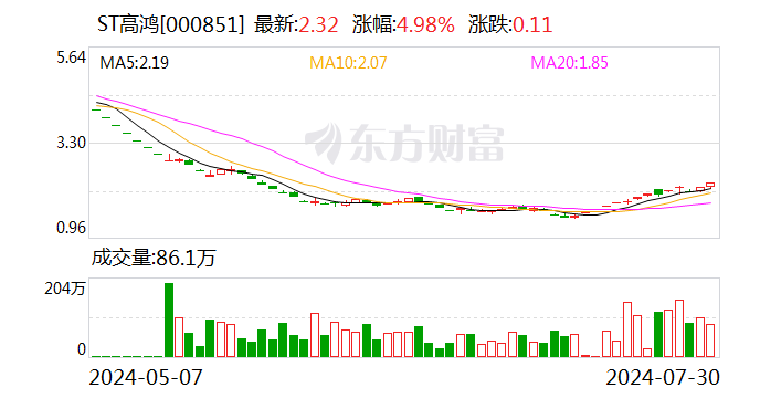 涉嫌信披违法违规 ST高鸿遭证监会立案  第1张