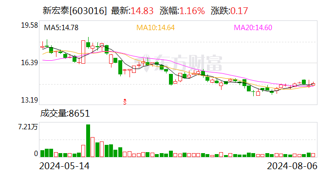 新宏泰：补选公司独立董事  第1张