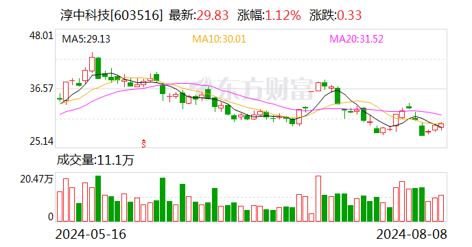 淳中科技：2024年上半年净利润同比增长494.03%