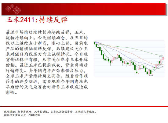 中天期货:玻璃等待企稳 纸浆继续走高  第7张