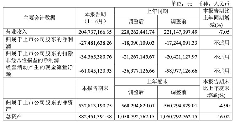 财报透视｜亏损继续扩大！美尔雅上半年净利腰斩，曾连续两年财报被“非标”遭监管追问