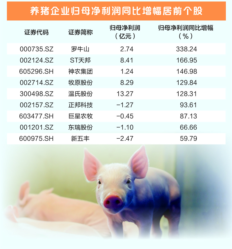 生猪养殖业大面积扭亏 多家龙头企业净利润增幅超100%