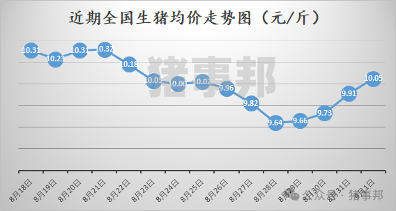 猪事邦||9月1日猪价汇总（9月开门红，但北方涨势有变！）  第2张