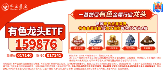 锂矿股震荡上冲！中矿资源触板，有色龙头ETF（159876）盘中上探1.27%！机构：锂业或迎左侧布局机遇  第4张