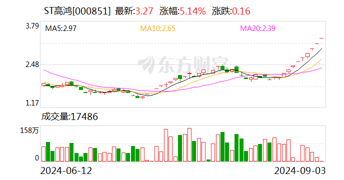 ST高鸿：公司及相关当事人受到深交所公开谴责  第1张