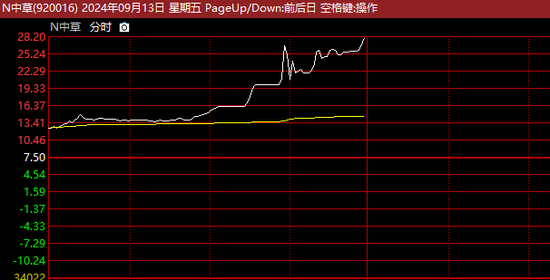 刚刚，暴涨300%！2度临停，又见新股疯狂！  第1张