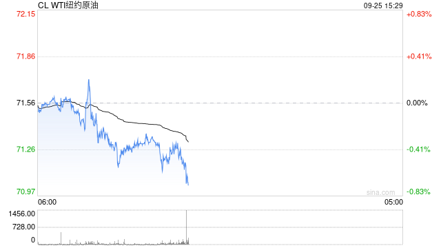 OPEC高度看好长期石油需求 IEA唱反调  第2张