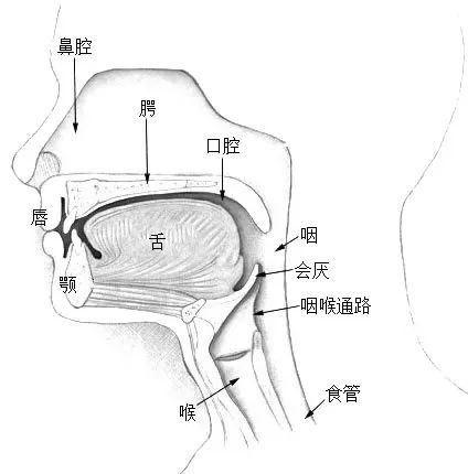 一个睡眠小习惯 可能会损害心脏和血管 快看你有没有