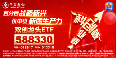 近两日狂揽10亿元！资金蜂拥抢筹，机构发声看好，硬科技宽基——双创龙头ETF（588330）或成“香饽饽”  第5张