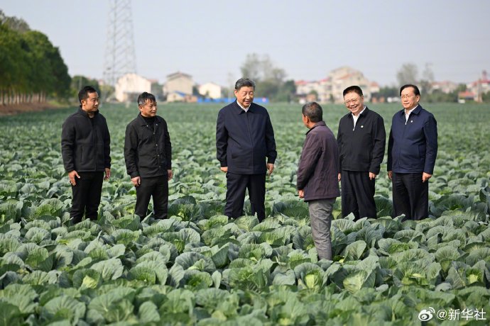 习近平在湖北考察调研  第5张