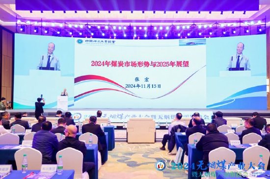 中国煤炭工业协会党委委员张宏：2024年煤炭市场形势与2025年展望  第2张