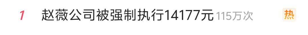 热搜第一！赵薇公司被强制执行14177元  第2张