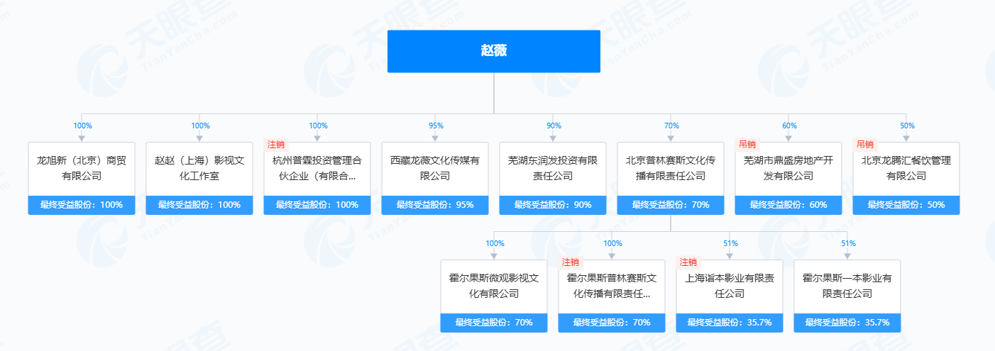 热搜第一！赵薇公司被强制执行14177元  第6张