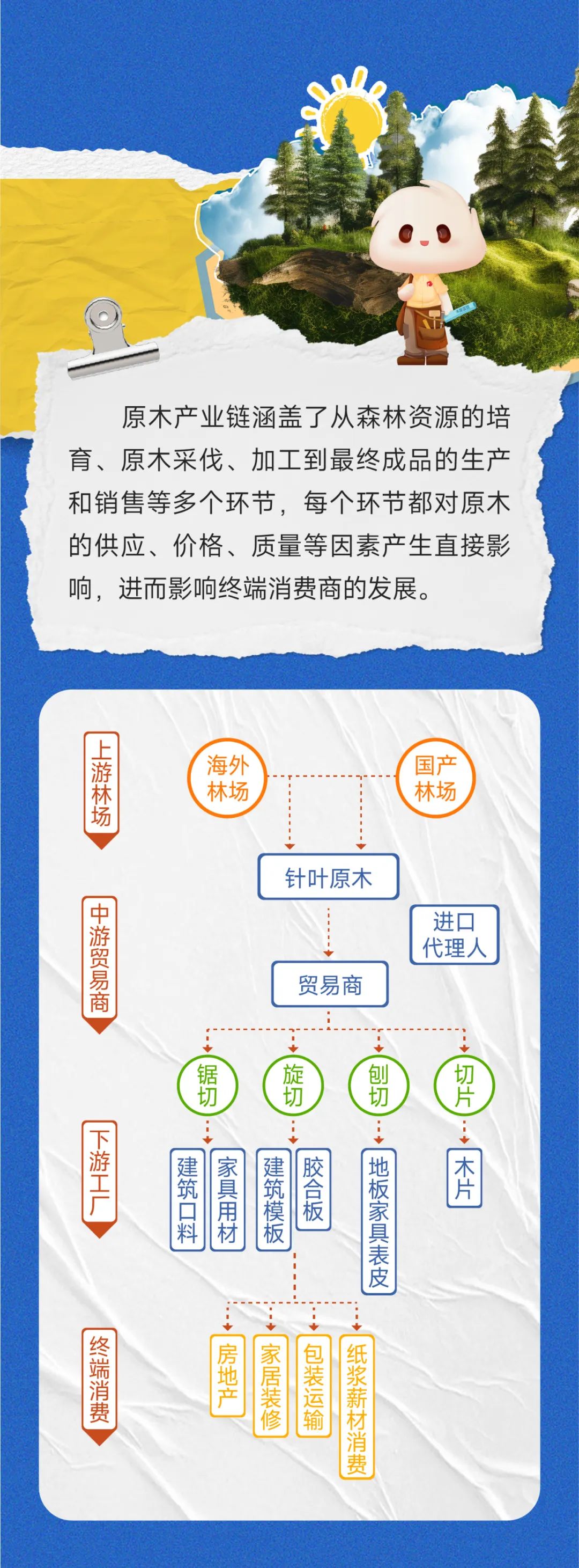 一图读懂原木期货  第10张