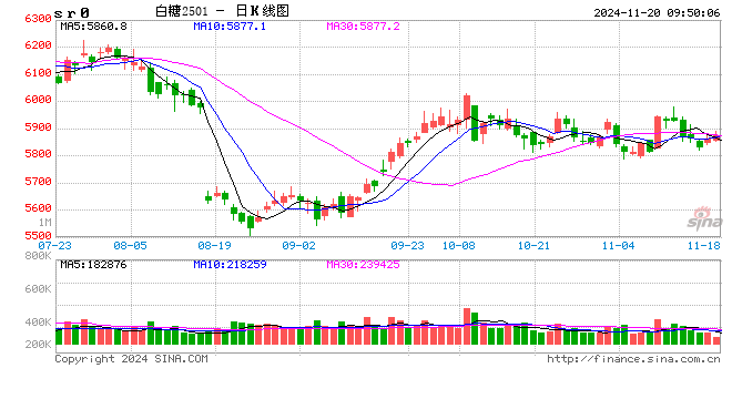 光大期货：11月20日软商品日报  第2张