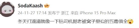 滴滴司机结束订单后带着乘客的狗跑了，乘客报警后送回，滴滴：赔50  第6张