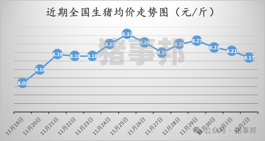 12月2日猪价汇总（主线震荡小跌！）  第3张