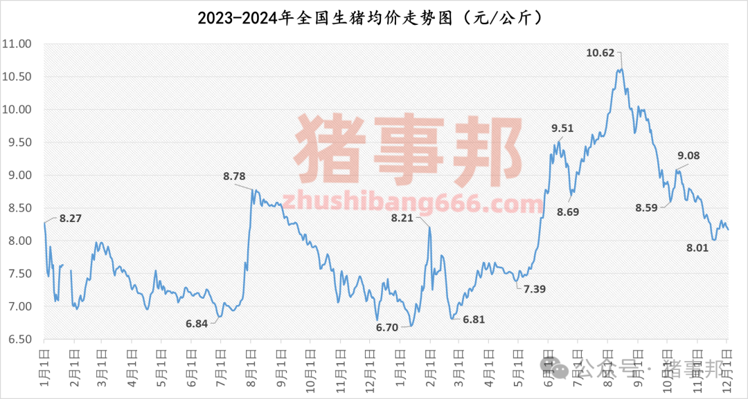 12月2日猪价汇总（主线震荡小跌！）  第4张