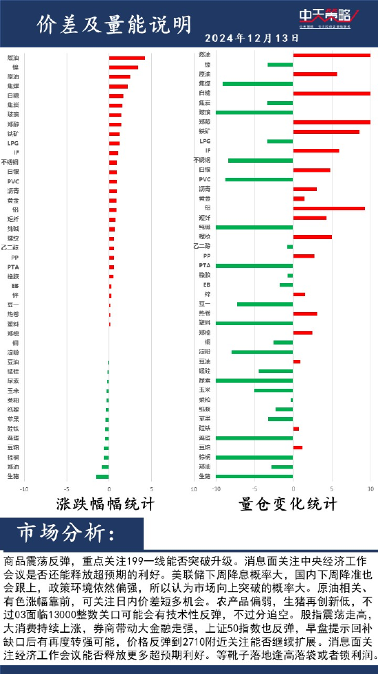 中天策略:12月13日市场分析